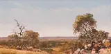 Andre de Beer, Bushveld Landscape, oil on canvas laid down on board