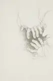Judith Mason, Woven Hands, photolithograph on paper