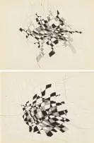Eugene Labuschagne, Apples Abstracted, two, pen on paper