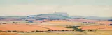 Piet van Heerden, Wheatlands, Caledon, oil on canvas laid down on board