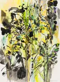 Judy Shear, Composition with Plants, ink and watercolour on paper