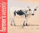 Sipho Ndlovu, Farmer's Weekly, oil on canvas