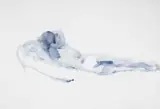 Gabrielle Raaff, Slipping Away, waterbased oil on cotton