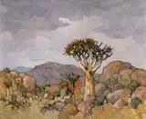 Conrad Theys, Quiver Tree Study, oil on canvas