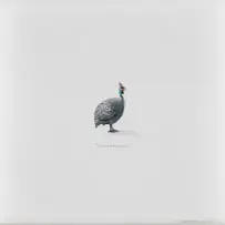 Lorraine Loots, "7 October 2013", watercolour on paper