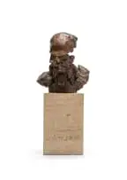 Danie de Jager, The Philosopher, bronze with a brown patina on a marble base