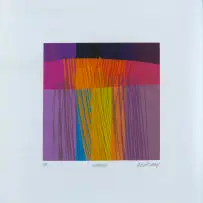 Paul Blomkamp, Veldhigh (4), screenprint on paper