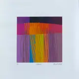 Paul Blomkamp, Veldhigh (4), screenprint on paper