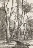 Ernst Rood, Stroompie deur die Bos, pen and correction fluid on paper