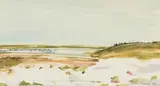 Alice Elahi, Beach Scene