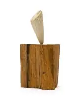 Wopko Jensma, Bone of Contention, 1974, bone on a wooden base
