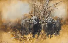 Vic Guhrs, Buffalo, oil on canvas