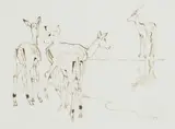 Springbokke by Zakkie Eloff, ink on paper, sold Sep 2024