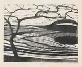 Alice Goldin, Kiaat, woodcut on rice paper