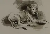Resting Lion by Zakkie Eloff, ink on paper, sold Sep 2024