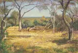 Rhino and Jackal in Wooded Veld by Zakkie Eloff, oil on canvas, sold Sep 2024