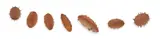 Marco Cianfanelli, Spheres - Future Past and Present I-VII, fibreglass, sand pigment and mild steel