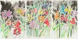 Andrew Verster, Irises, hand-coloured etching on paper