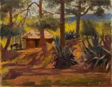 Cottage, Tree and Sisal Plant by Errol Boyley, oil on board, sold Aug 2024