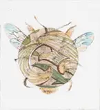 Anna Alcock, Ghost of a Bee, hand-coloured etching on paper
