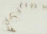 Gemsbok by Zakkie Eloff, ink on paper, sold Aug 2024