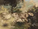 Leigh Voigt, Cheetah