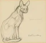 Dick (Richard) Findlay, Serval, pencil on paper