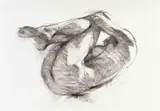 Dylan Lewis, Torso III (P003), giclée print on Hahnemühle paper