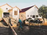 Sipho Ndlovu, Irene Farm in Pretoria