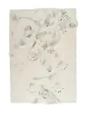 Dylan Lewis, Spoor XII, acrylic plaster and pigment