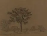 Jacobus Hendrik Pierneef, Bushveld with Trees