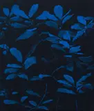 Peter Eastman, Bigger Blue Light, oil on aluminium