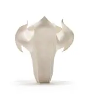 Astrid Dahl, Moonflower, white earthenware, fired, sanded, consolidated and waxed