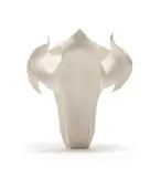 Astrid Dahl, Moonflower, white earthenware, fired, sanded, consolidated and waxed
