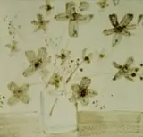 Esias Bosch, Tile decorated with flowers in a vase, hand painted and glazed stoneware