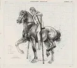Diane Victor, Equestrian, charcoal on found paper