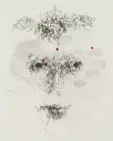 Judith Mason, Stigma, lithograph on paper