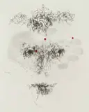 Judith Mason, Stigma, lithograph on paper