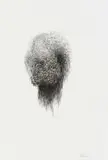 Marlene Thom, Untitled (Drawing from the Organism Series), pen and ink on paper