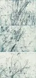 Chrisél Attewell, Earth I; Earth II; Earth III, three, colour etching on paper