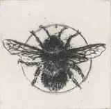 Anna Alcock, Ghost of a Bee, etching on paper