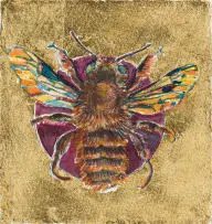 Anna Alcock, Ghost of a Bee III, hand-coloured etching with gold leaf on paper