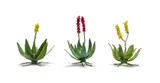 Keiskamma Art Project, Aloes, three, felt, wire and beads