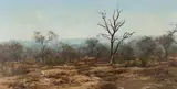 Francois Koch, Bushveld Landscape, oil on canvas laid down on board