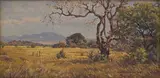 Erich Mayer, Nylstroom District Waterberg, oil on board