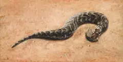 Albert Redelinghuys, Gifstof (Toxin), oil on canvas