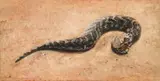 Albert Redelinghuys, Gifstof (Toxin), oil on canvas