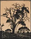 Hardekoolboom, Bosveld N.T (Nilant 74) by Jacobus Hendrik Pierneef, linocut on paper, sold Jul 2024