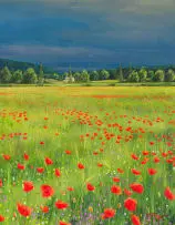 Andrew Cooper, Poppies in a Meadow, oil on canvas