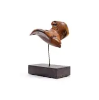 Jaco Sieberhagen, Bird (Hawk), wood, on a metal and wood base